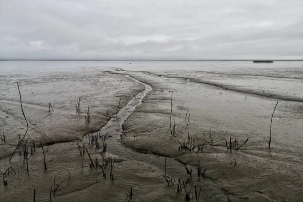 Wide Shot Mudflat Cloudy Gray Sky Background — Stock Photo, Image