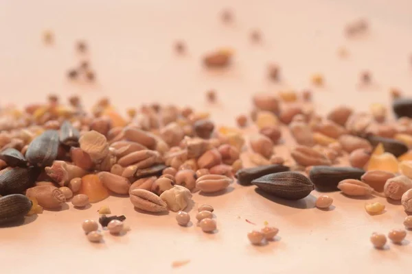Focagem seletiva de sementes e grãos diferentes em uma superfície branca — Fotografia de Stock