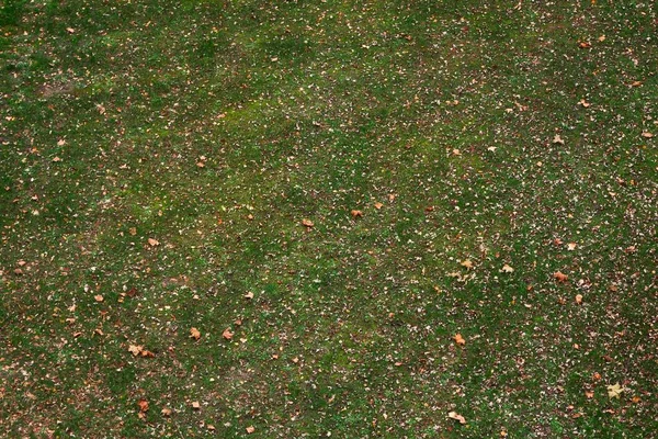 Hochwinkelaufnahme eines Rasenparks im neuen Zagreb, Kroatien — Stockfoto