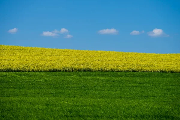 Vacker bild av en gräsbevuxen kulle under en blå himmel - perfekt för bakgrund — Stockfoto