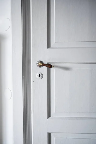 ประตูวินเทจที่มีมือจับประตูโบราณ — ภาพถ่ายสต็อก