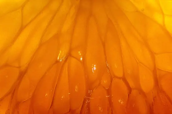 Macro girato di un mandarino — Foto Stock