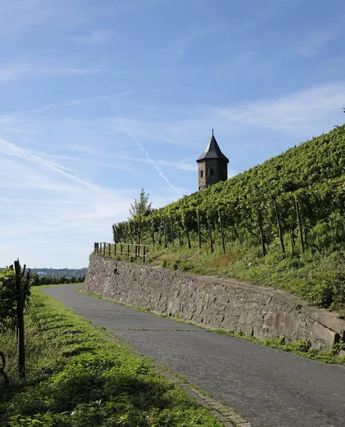 Scatto verticale di un sentiero di campagna nei pressi di Koenigswinter, Germania — Foto Stock