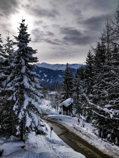冬天，一条被蓝天松树环绕的宽阔的道路 — 图库照片