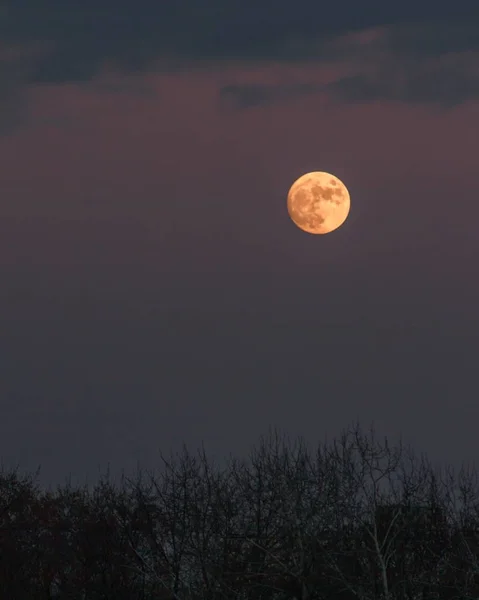 Bonito tiro de uma lua cheia em zíper, croatia com um céu claro no fundo — Fotografia de Stock