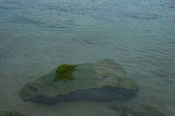 Foto de alto ángulo de una piedra en el agua cubierta por musgo verde. — Foto de Stock