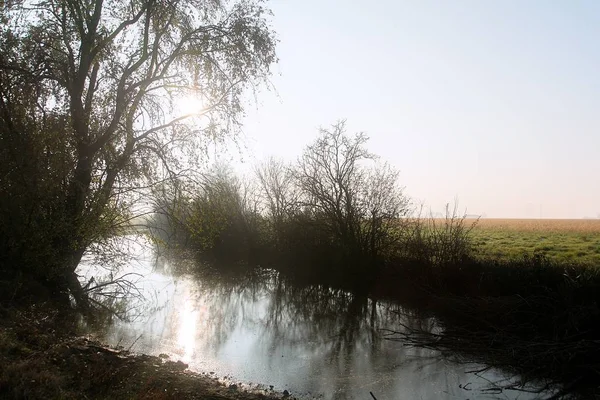 Маленькі Рослини Долині Відображені Річці Нижче — стокове фото