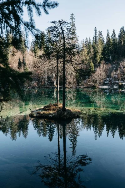 Vertikal bild av en sjö omgiven av klippor och skogar med träd reflekterande på vattnet — Stockfoto