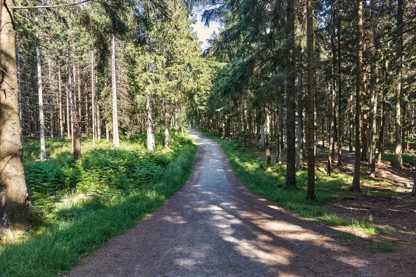 Gravel road through the Almidingen forest, Bornholm Island, Dánia — Stock Fotó