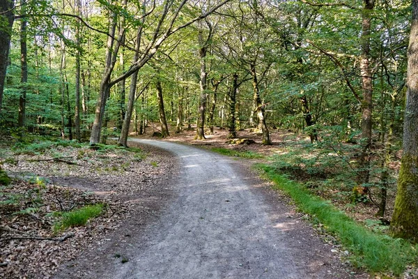Štěrková cesta lesem Almidingen, ostrov Bornholm, Dánsko — Stock fotografie