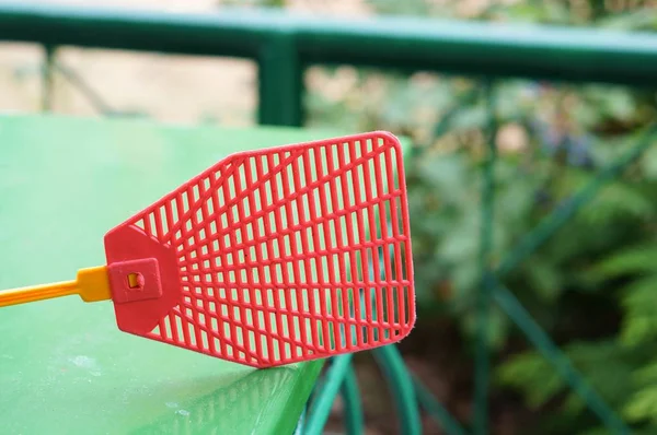 Primo piano di un nuotatore rosso mosca sotto la luce del sole in un giardino — Foto Stock