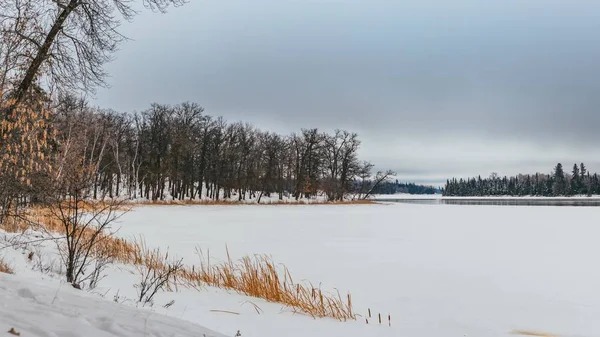 Eine Atemberaubende Landschaft Mit Einer Schneedecke Umgeben Von Einer Reihe — Stockfoto