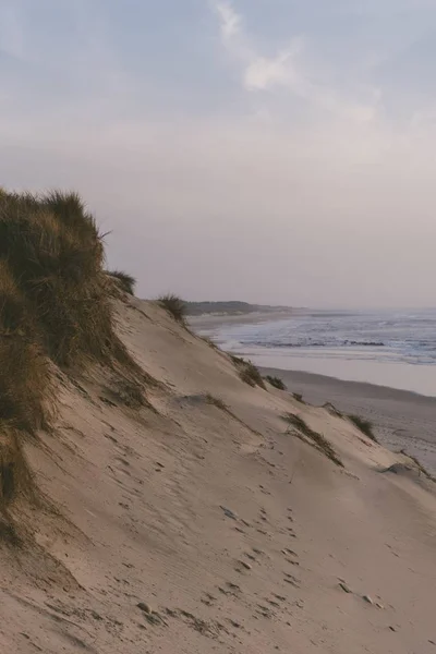 Tiro vertical da praia de areia com o oceano no fundo sob o céu azul — Fotografia de Stock