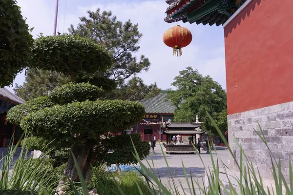 木に囲まれた中国風の装飾が施された建物の広角撮影。 — ストック写真