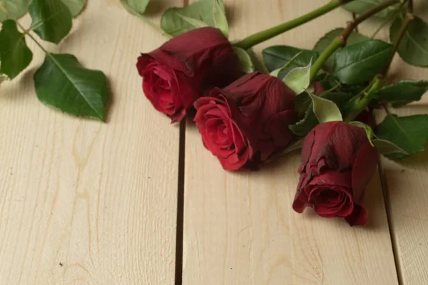 Krásné červené růže se zelenými listy na dřevěném povrchu — Stock fotografie