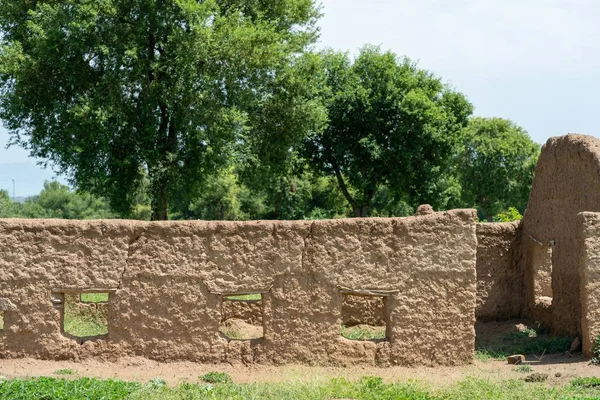 Breed shot van korte ruwe muren met handgemaakte gaten voor ramen op een veld met bomen — Stockfoto