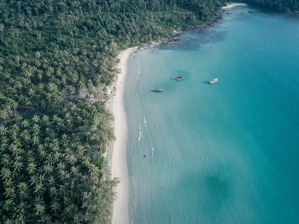 ヤシの木に覆われた海岸近くの水の上にボートの空中ショット — ストック写真