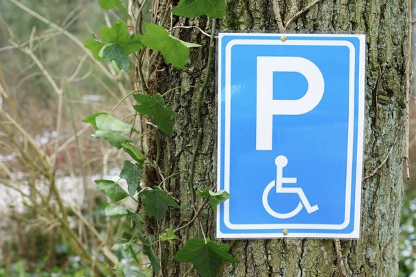 Blue sign of a Disabled parking permit on the tree in the park — Stock Photo, Image