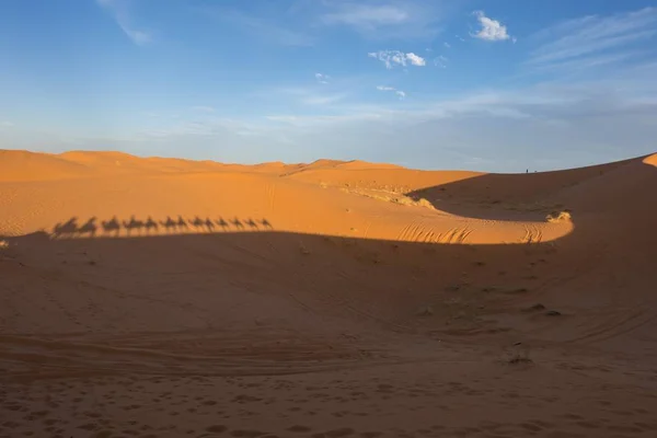 Sombras Camellos Sobre Arena Desierto Del Sahara Erg Chebbi Merzouga — Foto de Stock