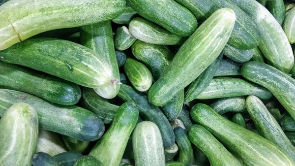 Close Alto Ângulo Pepinos Colhidos Perfeito Para Artigo Sobre Agricultura — Fotografia de Stock