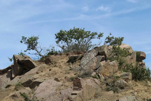 Снимок под низким углом больших скал с зелеными растениями на вершине и ясным синим небом на заднем плане — стоковое фото