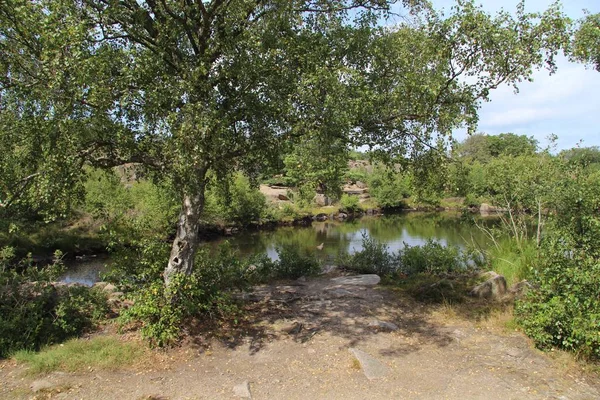 Schöne Aufnahme Eines Sees Mit Grünen Pflanzen Bornholm Dänemark — Stockfoto