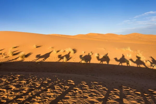 Cień Ludzi Siedzących Wielbłądzie Saharze Erg Chebbi Merzouga Maroko — Zdjęcie stockowe