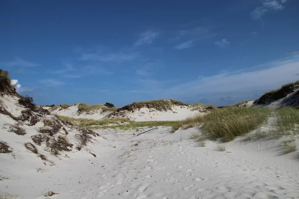 Krásný záběr bílé písečné pláže v dueodde bornholm, denmark — Stock fotografie