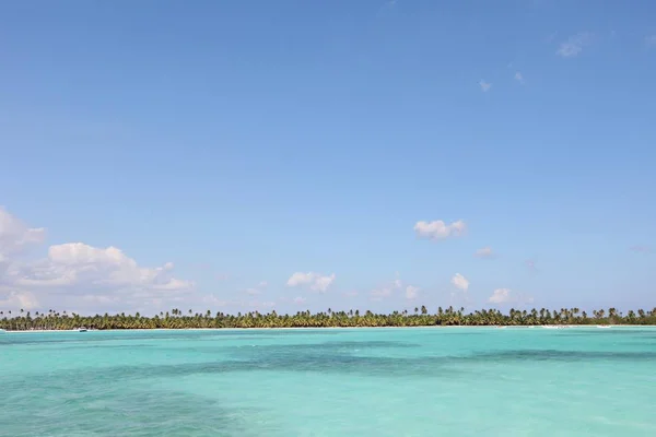 Una Bella Foto Del Mare Tranquillo Circondato Alberi Verdi Sotto — Foto Stock