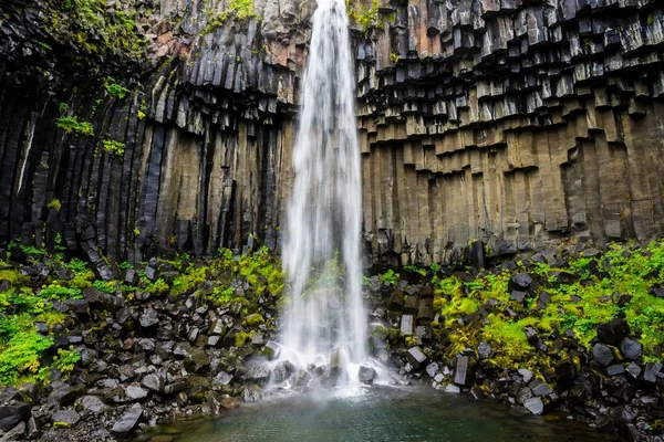 Egy Gyönyörű Felvétel Svartifoss Vízesésről Izlandon — Stock Fotó