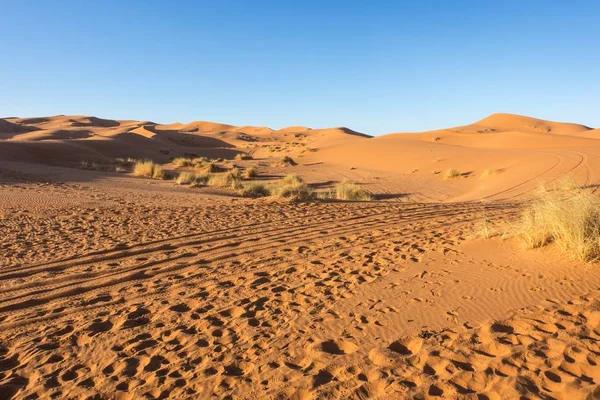 Saharaöknen Solnedgången Erg Chebbi Merzouga Marocko — Stockfoto