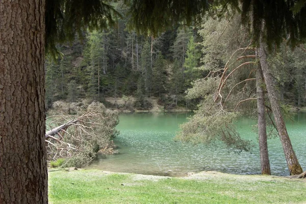 背後に高い岩山のあるモミの木に囲まれた湖の美しい景色 — ストック写真