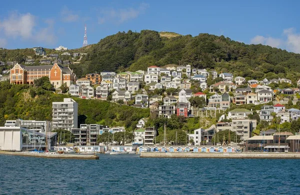 Wellington Nouvelle Zélande Août 2014 Vue Panoramique Une Digue Avec — Photo