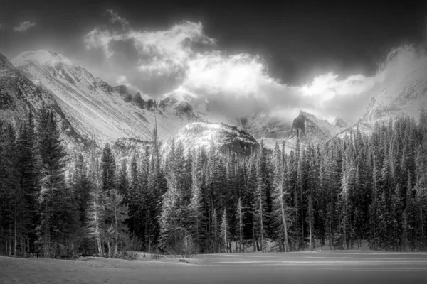 Een Panoramische Grijswaarden Opname Van Alpenbos Aan Voet Van Besneeuwde — Stockfoto