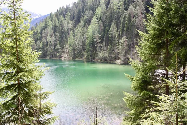 Uno Splendido Scenario Lago Circondato Abeti Con Alte Montagne Rocciose — Foto Stock