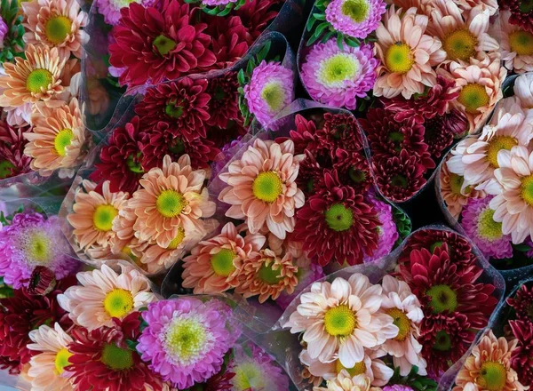 昼間の販売のためのカラフルな花の花束 — ストック写真