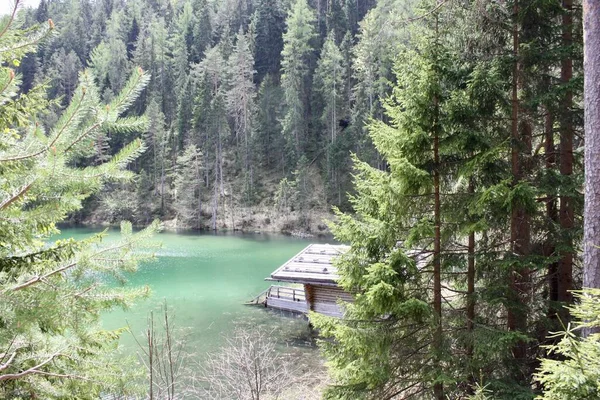 美しい緑の木々に囲まれた湖の海岸にあるキャビン — ストック写真
