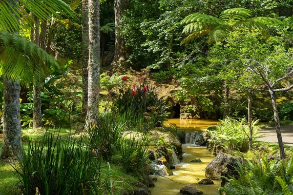 Hermosa Vista Naturaleza Arroyo Parque Terra Nostra Furnas Sao Miguel — Foto de Stock