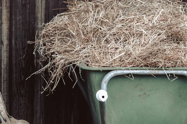 Een Close Van Hooiberg Een Roestige Groene Kruiwagen Onder Het — Stockfoto