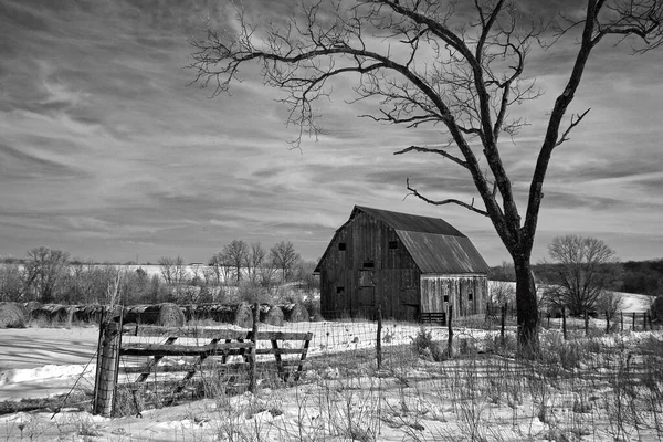 Black White Shot Midwest Farm Barn Bare Tree Fence Snow — Stock Photo, Image