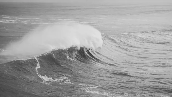 Graustufenaufnahme Einer Großen Meereswelle — Stockfoto