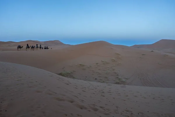 People Sitting Camels Sahara Desert Erg Chebbi Merzouga Morocco — Stock Photo, Image