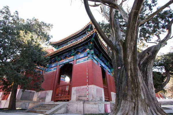 Plan Faible Angle Architecture Ancienne Chinoise Dans Temple Confucius Hérisson — Photo