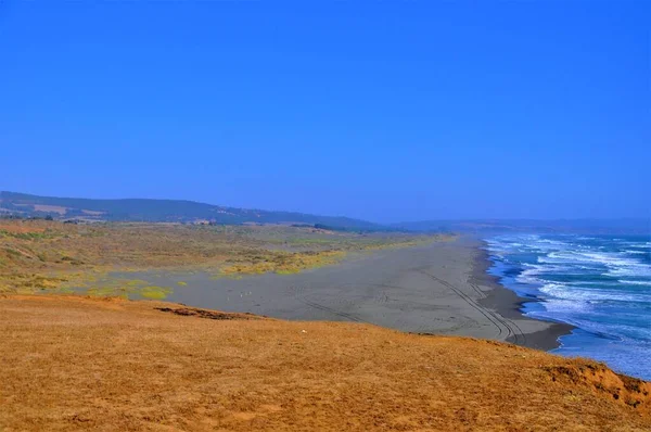 Ptaki Pobliżu Pacyfiku Pichilemu Punta Lobos Chile Ponury Dzień — Zdjęcie stockowe