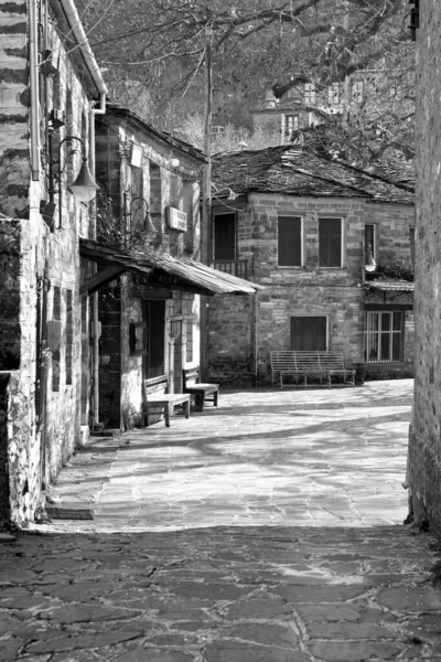 Greyscale Shot Street Old Stone Buildings Trees — Stock Photo, Image