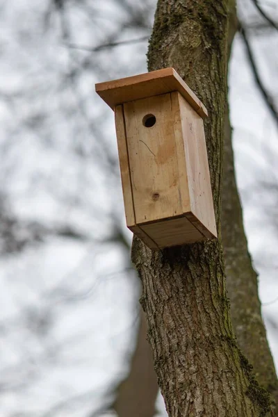 Immagine Verticale Una Scatola Nido Uccelli Legno Albero Con Uno — Foto Stock