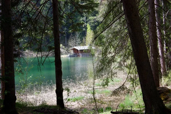 Una Cabina Legno Vicino Lago Circondata Alti Alberi Verdi — Foto Stock