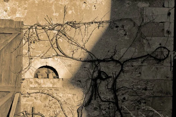 Зимове Сонце Зафарбоване Сірими Стінами Старого Будинку Сепії Турин Франція — стокове фото
