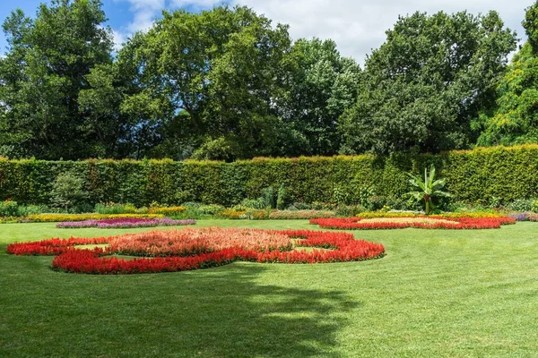 Piękny Widok Kwiaty Drzewa Terra Nostra Park Furnas Sao Miguel — Zdjęcie stockowe