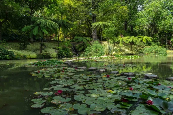 Hermosa Vista Del Lago Naturaleza Terra Nostra Park Furnas Sao — Foto de Stock